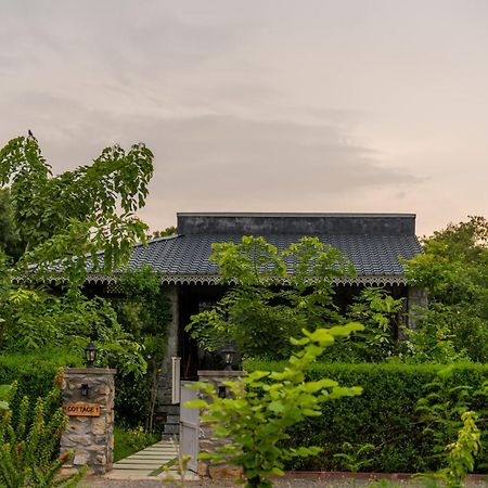 Jawai Greens Jawai Bandh Extérieur photo