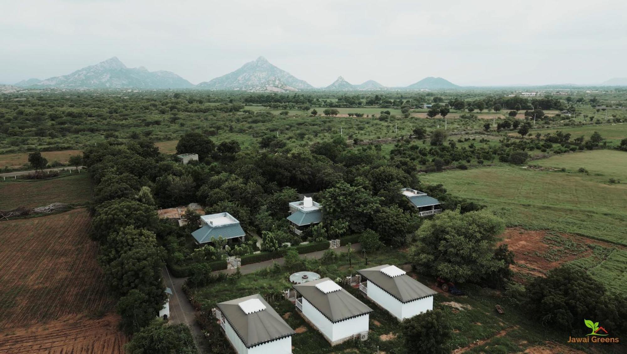 Jawai Greens Jawai Bandh Extérieur photo