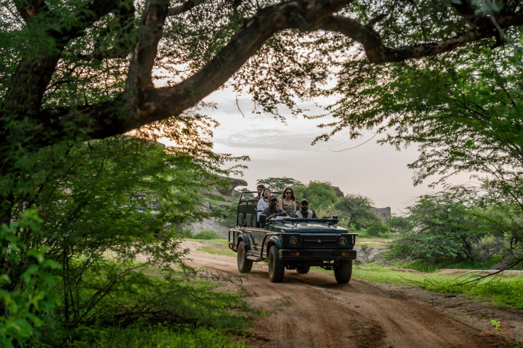 Jawai Greens Jawai Bandh Extérieur photo