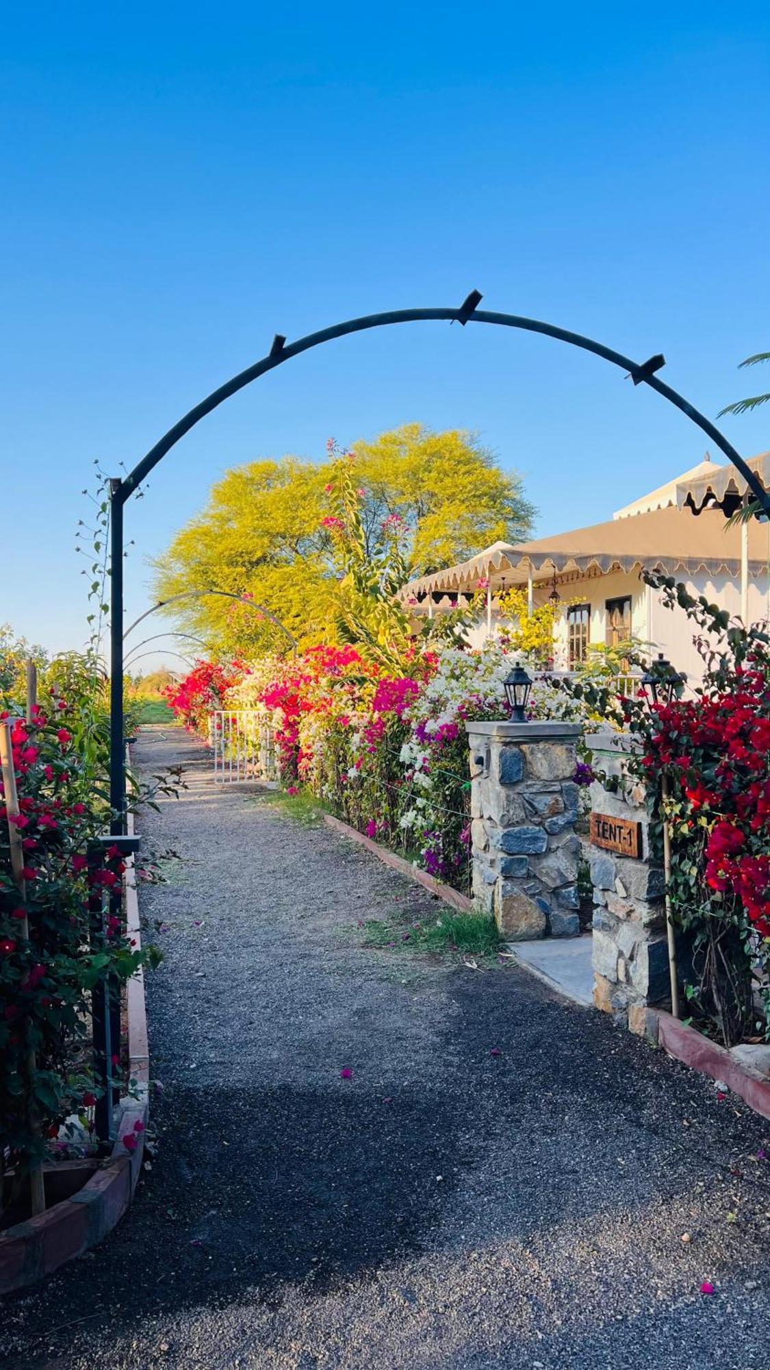Jawai Greens Jawai Bandh Extérieur photo